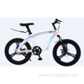 20 Inch Magnesium Alloy Integrated Wheel Mountain Bike